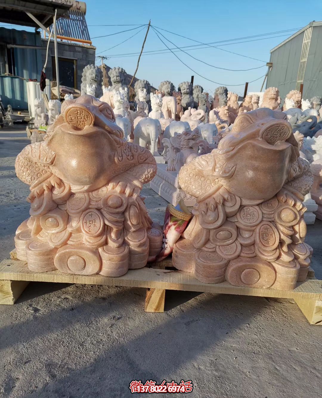 水池里擺放的兩只花崗巖石雕創意金蟾雕塑 水池里擺放的兩只花崗巖石雕創意金蟾雕塑